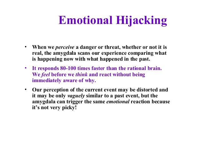 Emotional Hijacking Minding Matters